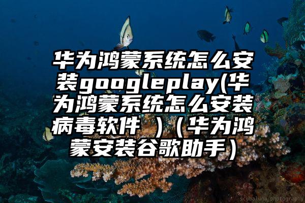华为鸿蒙系统怎么安装googleplay(华为鸿蒙系统怎么安装病毒软件 )（华为鸿蒙安装谷歌助手）