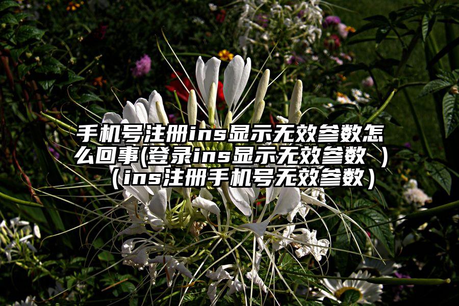手机号注册ins显示无效参数怎么回事(登录ins显示无效参数 )（ins注册手机号无效参数）