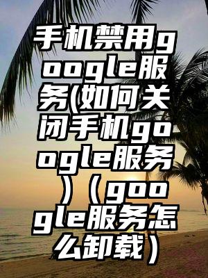 手机禁用google服务(如何关闭手机google服务 )（google服务怎么卸载）