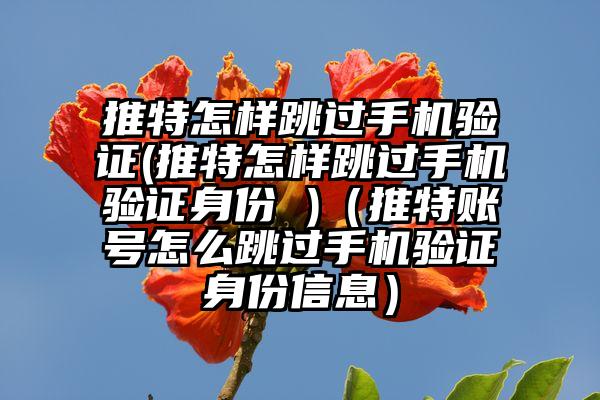 推特怎样跳过手机验证(推特怎样跳过手机验证身份 )（推特账号怎么跳过手机验证身份信息）