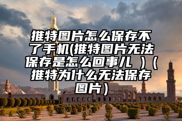 推特图片怎么保存不了手机(推特图片无法保存是怎么回事儿 )(推特为什么无法保存图片)
