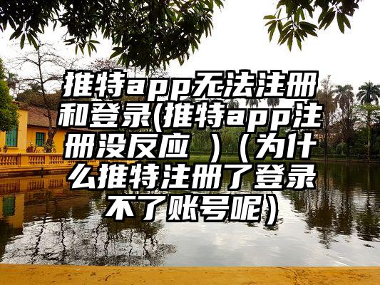推特app无法注册和登录(推特app注册没反应 )（为什么推特注册了登录不了账号呢）