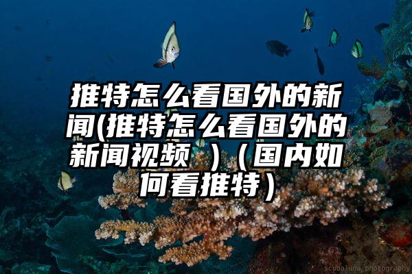推特怎么看国外的新闻(推特怎么看国外的新闻视频 )(国内如何看推特)
