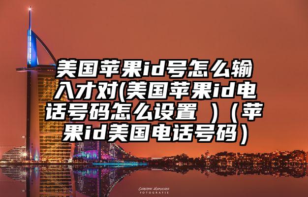 美国苹果id号怎么输入才对(美国苹果id电话号码怎么设置 )（苹果id美国电话号码）