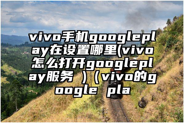 vivo手机googleplay在设置哪里(vivo怎么打开googleplay服务 )（vivo的google pla