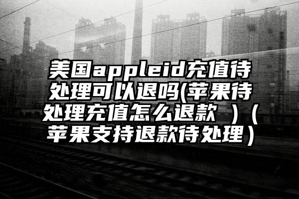 美国appleid充值待处理可以退吗(苹果待处理充值怎么退款 )（苹果支持退款待处理）