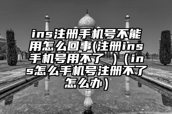 ins注册手机号不能用怎么回事(注册ins手机号用不了 )（ins怎么手机号注册不了怎么办）