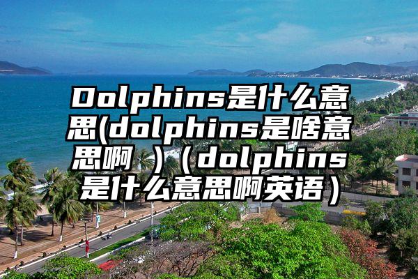 Dolphins是什么意思(dolphins是啥意思啊 )（dolphins是什么意思啊英语）