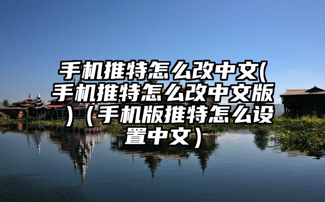 手机推特怎么改中文(手机推特怎么改中文版 )（手机版推特怎么设置中文）