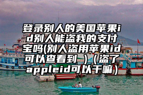 登录别人的美国苹果id别人能盗我的支付宝吗(别人盗用苹果id可以查看到 )（盗了appleid可以干嘛）
