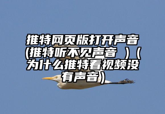推特网页版打开声音(推特听不见声音 )（为什么推特看视频没有声音）