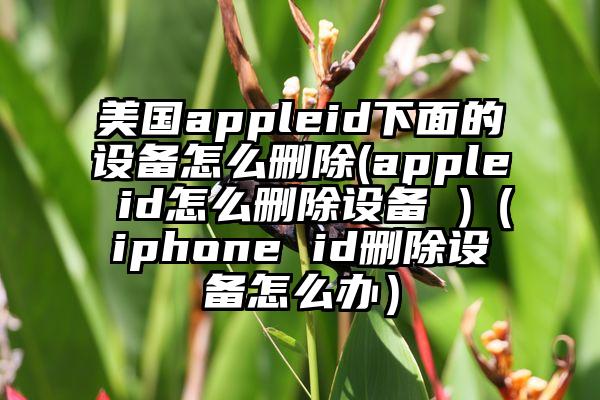 美国appleid下面的设备怎么删除(apple id怎么删除设备 )（iphone id删除设备怎么办）