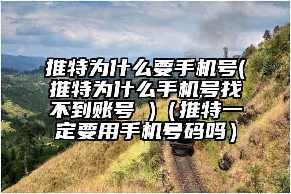 推特为什么要手机号(推特为什么手机号找不到账号 )（推特一定要用手机号码吗）