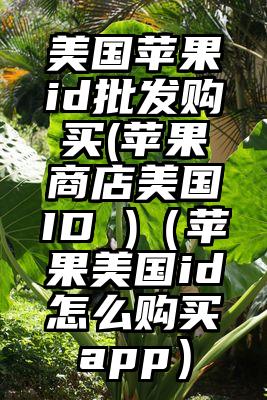 美国苹果id批发购买(苹果商店美国ID )（苹果美国id怎么购买app）