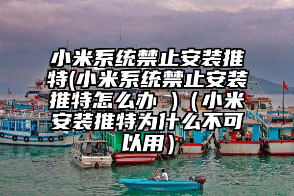 小米系统禁止安装推特(小米系统禁止安装推特怎么办 )（小米安装推特为什么不可以用）