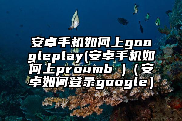 安卓手机如何上googleplay(安卓手机如何上proumb )(安卓如何登录google)