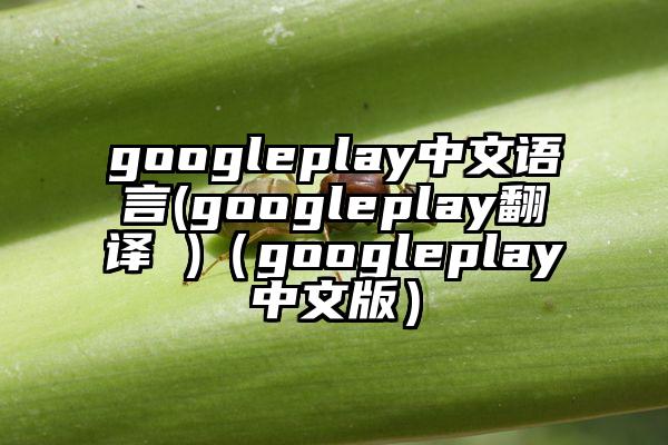 googleplay中文语言(googleplay翻译 )（googleplay中文版）
