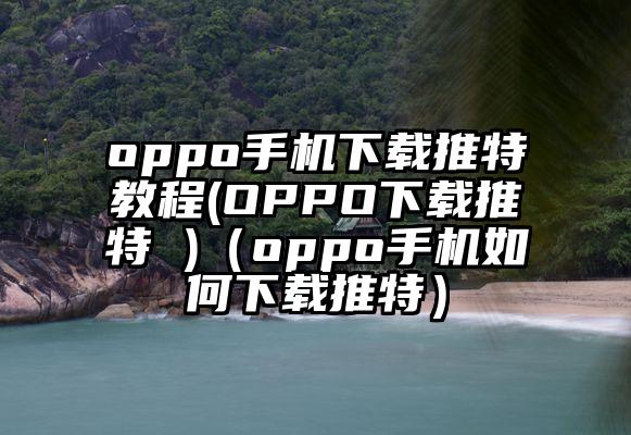 oppo手机下载推特教程(OPPO下载推特 )（oppo手机如何下载推特）
