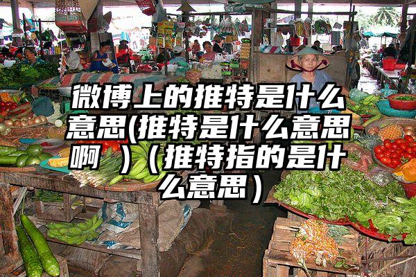 微博上的推特是什么意思(推特是什么意思啊 )（推特指的是什么意思）
