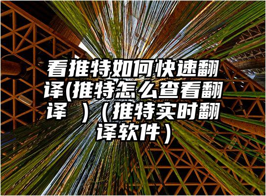 看推特如何快速翻译(推特怎么查看翻译 )（推特实时翻译软件）