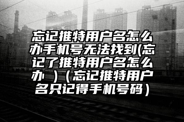 忘记推特用户名怎么办手机号无法找到(忘记了推特用户名怎么办 )（忘记推特用户名只记得手机号码）