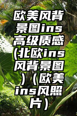 欧美风背景图ins高级质感(北欧ins风背景图 )（欧美ins风照片）