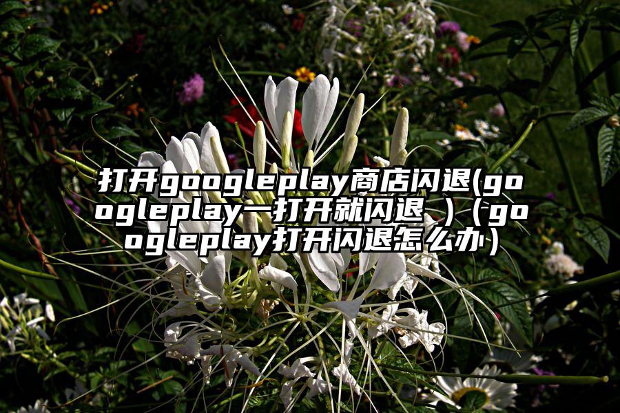 打开googleplay商店闪退(googleplay一打开就闪退 )（googleplay打开闪退怎么办）