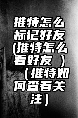推特怎么标记好友(推特怎么看好友 )（推特如何查看关注）