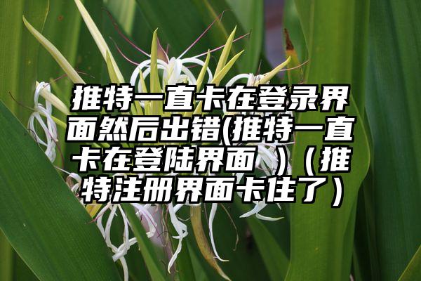 推特一直卡在登录界面然后出错(推特一直卡在登陆界面 )（推特注册界面卡住了）
