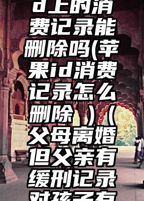 日本苹果id上的消费记录能删除吗(苹果id消费记录怎么删除 )（父母离婚但父亲有缓刑记录对孩子有影响吗）