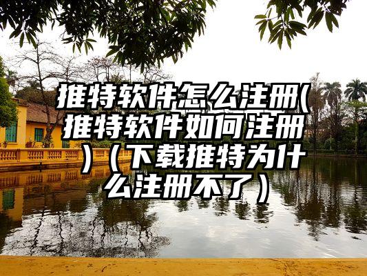 推特软件怎么注册(推特软件如何注册 )（下载推特为什么注册不了）