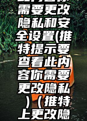 推特查看此内容你需要更改隐私和安全设置(推特提示要查看此内容你需要更改隐私 )（推特上更改隐私和安全设置）