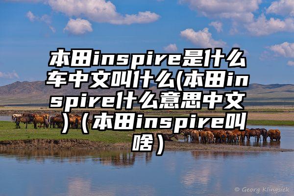 本田inspire是什么车中文叫什么(本田inspire什么意思中文 )（本田inspire叫啥）