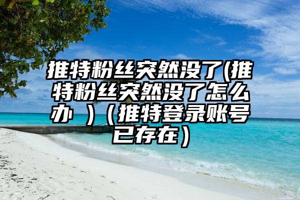 推特粉丝突然没了(推特粉丝突然没了怎么办 )（推特登录账号已存在）