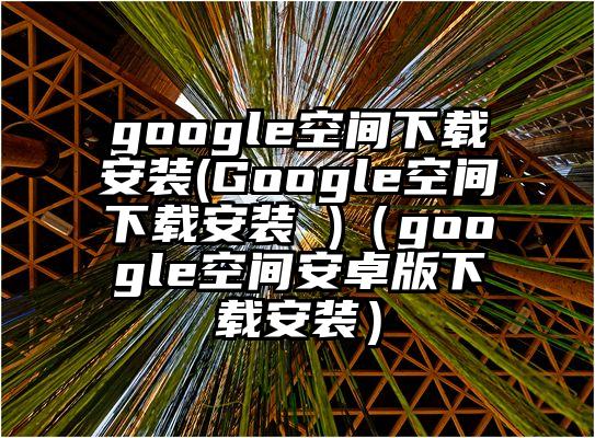 google空间下载安装(Google空间下载安装 )（google空间安卓版下载安装）