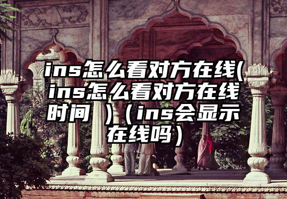 ins怎么看对方在线(ins怎么看对方在线时间 )（ins会显示在线吗）