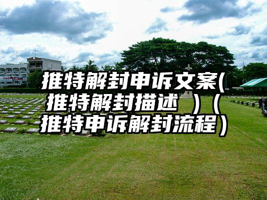 推特解封申诉文案(推特解封描述 )(推特申诉解封流程)