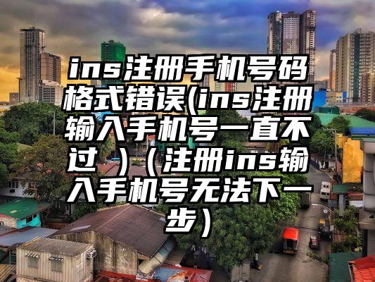 ins注册手机号码格式错误(ins注册输入手机号一直不过 )（注册ins输入手机号无法下一步）