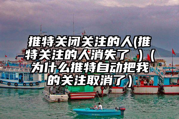 推特关闭关注的人(推特关注的人消失了 )（为什么推特自动把我的关注取消了）