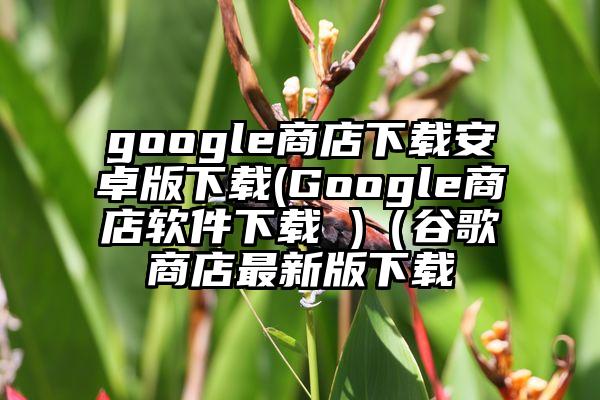 google商店下载安卓版下载(Google商店软件下载 )（谷歌商店最新版下载