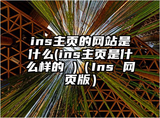 ins主页的网站是什么(ins主页是什么样的 )（Ins 网页版）