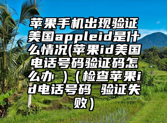 苹果手机出现验证美国appleid是什么情况(苹果id美国电话号码验证码怎么办 )（检查苹果id电话号码 验证失败）