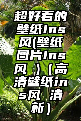 超好看的壁纸ins风(壁纸图片ins风 )（高清壁纸ins风 清新）