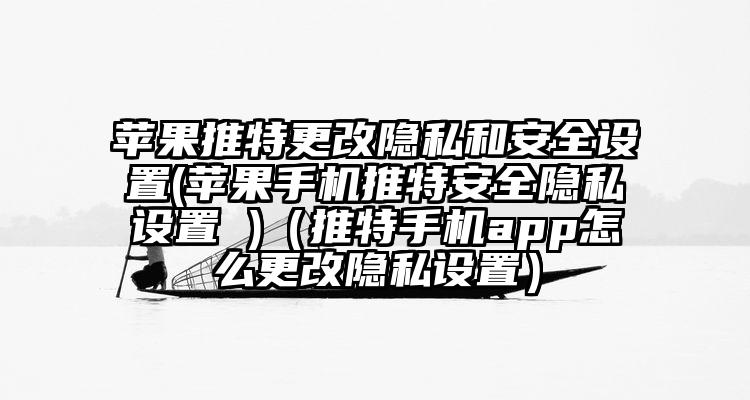 苹果推特更改隐私和安全设置(苹果手机推特安全隐私设置 )（推特手机app怎么更改隐私设置）
