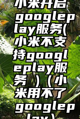小米开启googleplay服务(小米不支持googleplay服务 )（小米用不了googleplay）