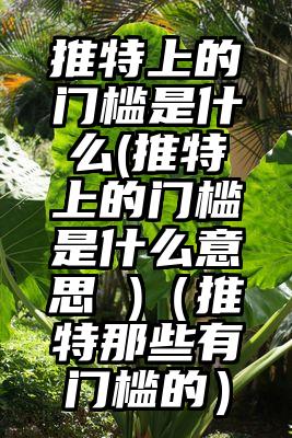推特上的门槛是什么(推特上的门槛是什么意思 )（推特那些有门槛的）