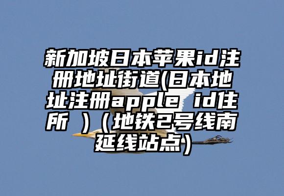 新加坡日本苹果id注册地址街道(日本地址注册apple id住所 )（地铁2号线南延线站点）