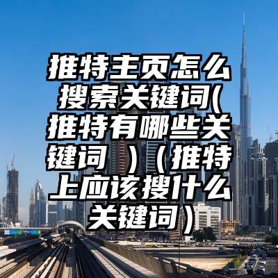 推特主页怎么搜索关键词(推特有哪些关键词 )（推特上应该搜什么关键词）