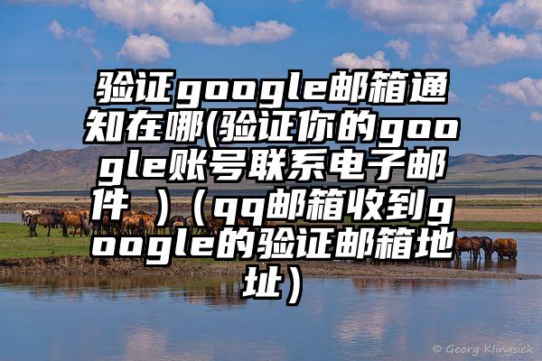 验证google邮箱通知在哪(验证你的google账号联系电子邮件 )（qq邮箱收到google的验证邮箱地址）
