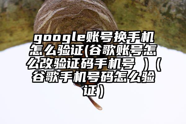 google账号换手机怎么验证(谷歌账号怎么改验证码手机号 )（谷歌手机号码怎么验证）